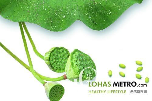 夏日荷花 清热又养颜