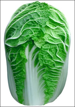 白菜要怎么煮才保住丰富维C