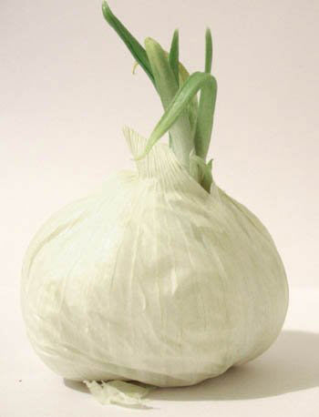 秋季润燥养血的7大饮食宝典