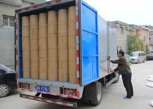 高端轻卡开瑞绿卡，大别山的高效配送伙伴