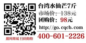 晨网商城、聚划算团购频道今日上线水果