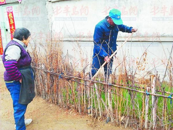 刚刚转让了土地，朱唐夼村村民还有些不习惯，只能在家门前挥一下铁锨。