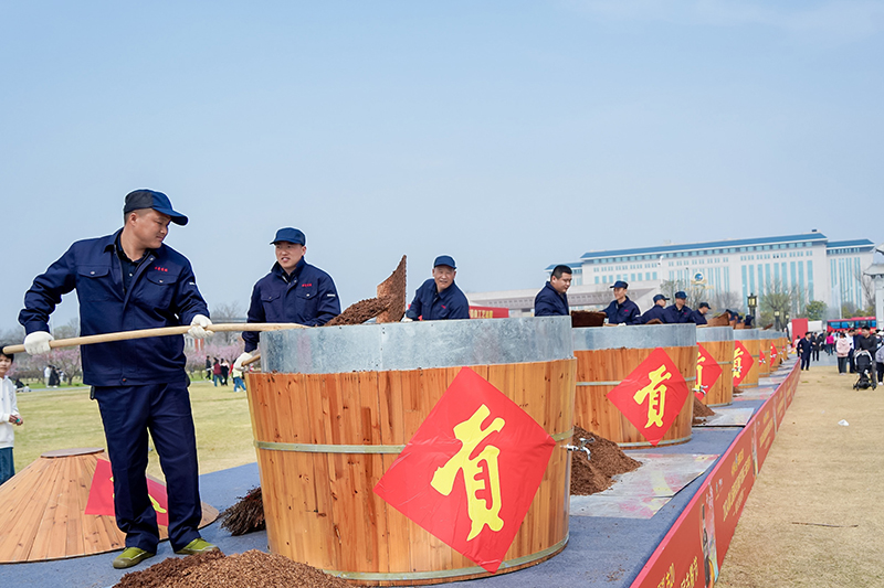 酿酒师傅挥锨上甑，展示非遗酿造技术。古井集团供图